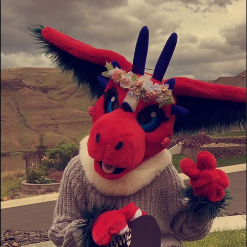 Meet your Posher, Brielle